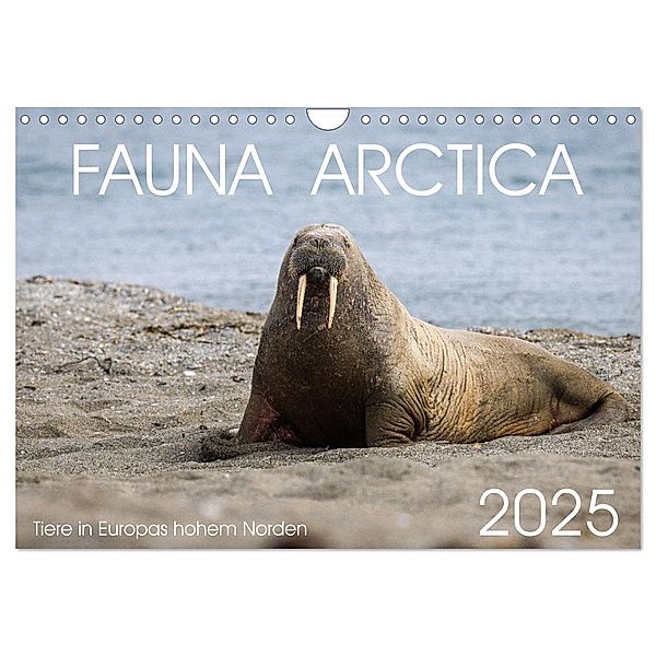 Fauna arctica (Wandkalender 2025 DIN A4 quer), CALVENDO Monatskalender, Calvendo, Sebastian Schröder-Esch, Tobias Schreiter