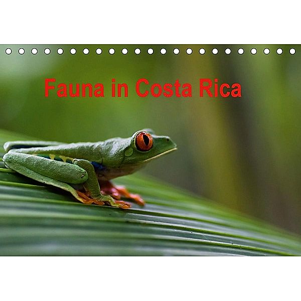 Fauna in Costa Rica (Tischkalender 2021 DIN A5 quer), Beate Bussenius