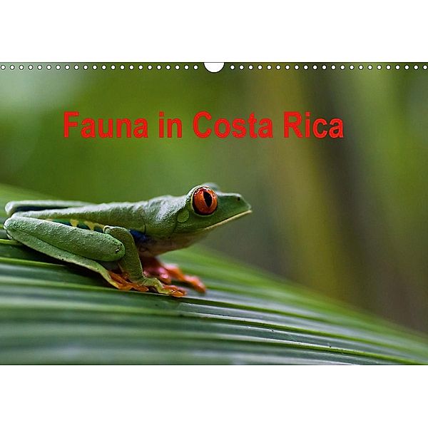 Fauna in Costa Rica (Wandkalender 2020 DIN A3 quer), Beate Bussenius