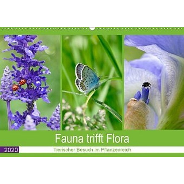 Fauna trifft Flora - Tierischer Besuch im Pflanzenreich (Wandkalender 2020 DIN A2 quer), Christine B-B Müller