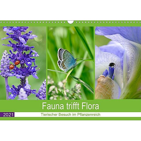 Fauna trifft Flora - Tierischer Besuch im Pflanzenreich (Wandkalender 2021 DIN A3 quer), Christine B-B Müller