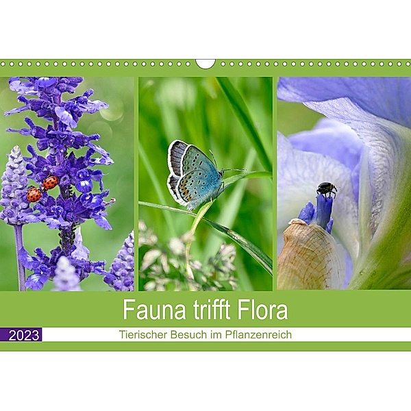 Fauna trifft Flora - Tierischer Besuch im Pflanzenreich (Wandkalender 2023 DIN A3 quer), Christine B-B Müller