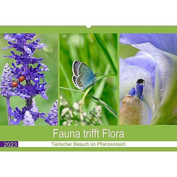 Fauna trifft Flora - Tierischer Besuch im Pflanzenreich (Wandkalender 2023 DIN A2 quer), Christine B-B Müller