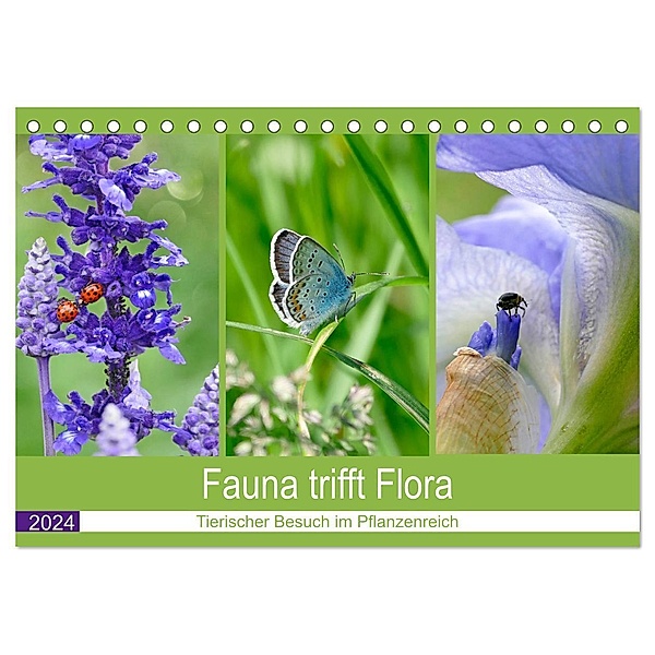 Fauna trifft Flora - Tierischer Besuch im Pflanzenreich (Tischkalender 2024 DIN A5 quer), CALVENDO Monatskalender, Christine B-B Müller