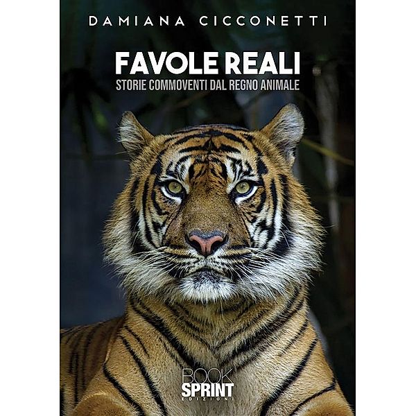 Favole reali, Damiana Cicconetti