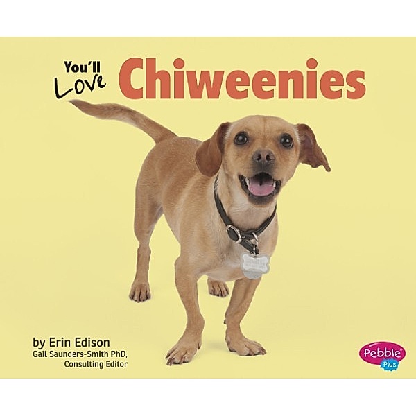 Favorite Designer Dogs: You'll Love Chiweenies, Erin Edison
