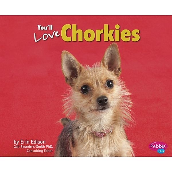 Favorite Designer Dogs: You'll Love Chorkies, Erin Edison