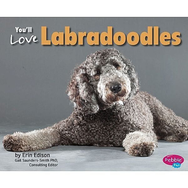 Favorite Designer Dogs: You'll Love Labradoodles, Erin Edison