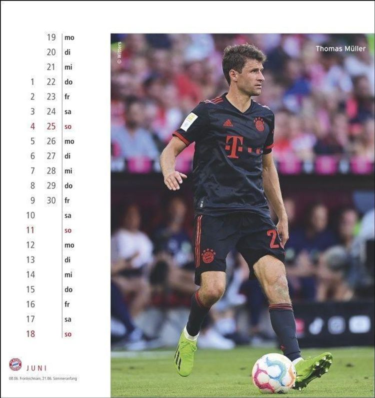 FC Bayern München Postkartenkalender 2023. Monats-Tischkalender zum  Aufstellen mit den Stars des FC Bayern. Ein kleiner - Kalender bestellen