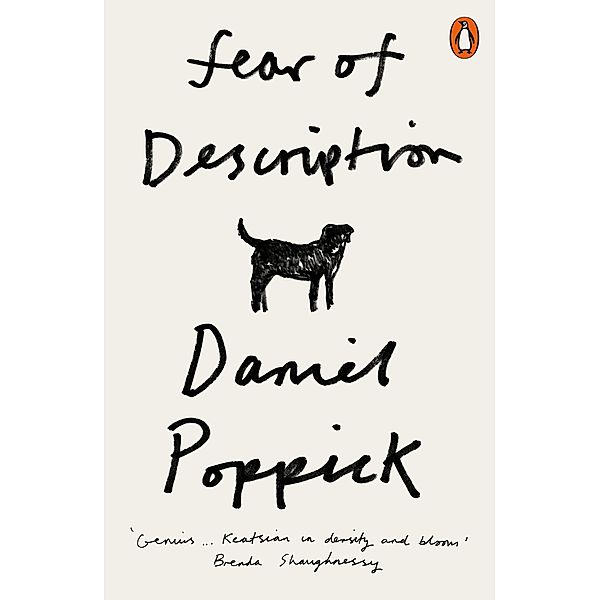 Fear of Description, Daniel Poppick