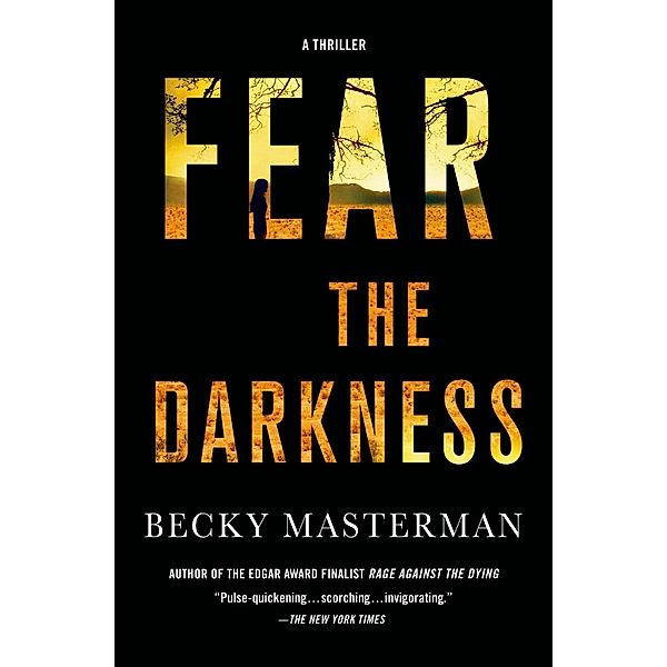 Fear the Darkness / Brigid Quinn Series Bd.2, Becky Masterman