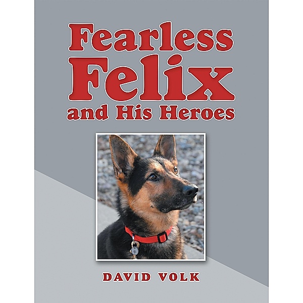 Fearless Felix and His Heroes, David Volk