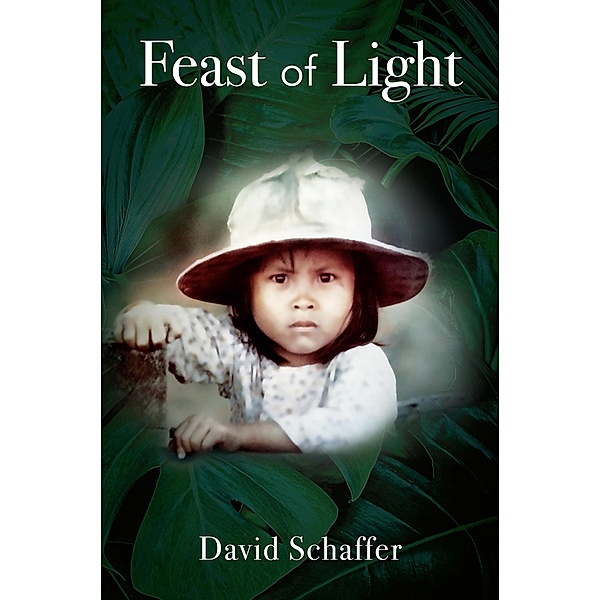 Feast of Light, David Schaffer