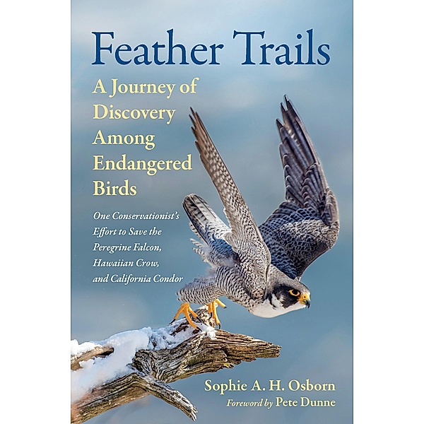 Feather Trails, Sophie A. H. Osborn