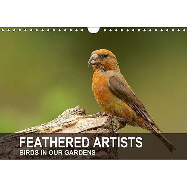 Feathered Artists - Birds in our gardens (Wall Calendar 2017 DIN A4 Landscape), Alexander Krebs