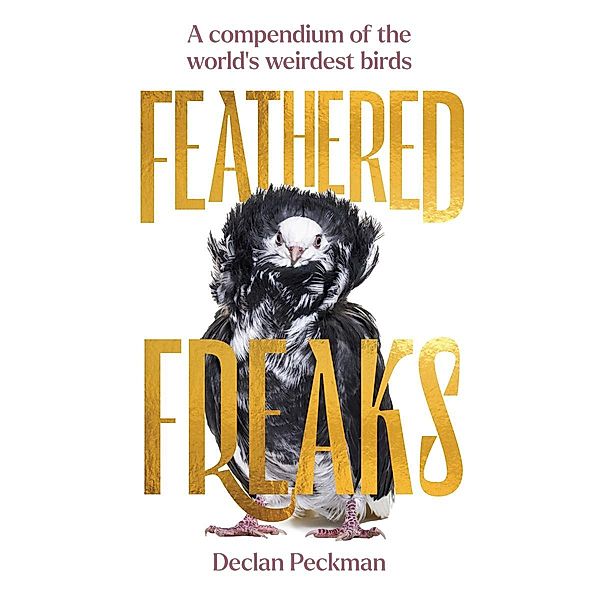 Feathered Freaks, Declan Peckman