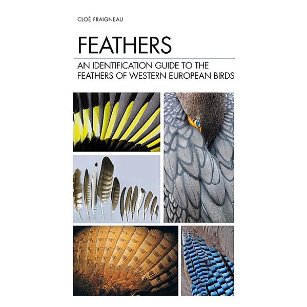 Feathers, Cloé Fraigneau