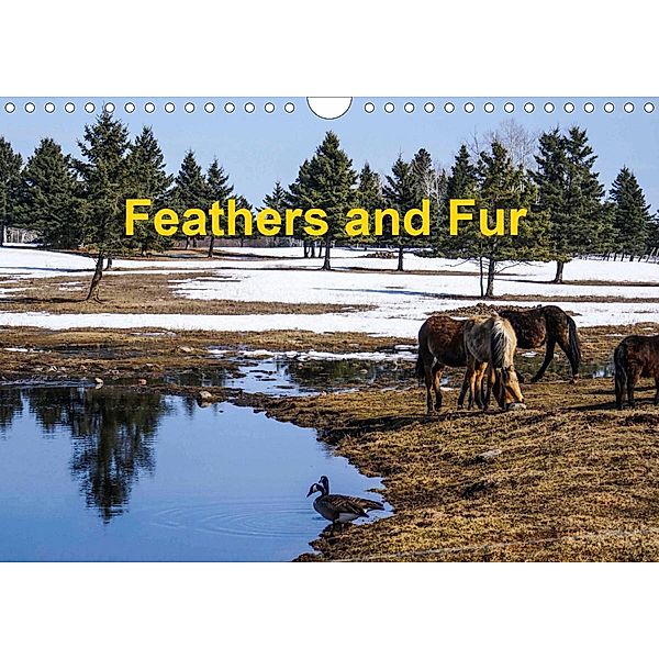 Feathers and Fur (Wall Calendar 2021 DIN A4 Landscape), W. Gregg Drysdale