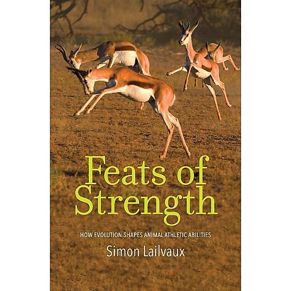 Feats of Strength, Simon Lailvaux