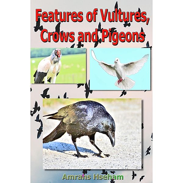 Features of Vultures, Crows and Pigeons, Amrahs Hseham