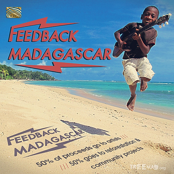 Feedback Madagascar, Diverse Interpreten