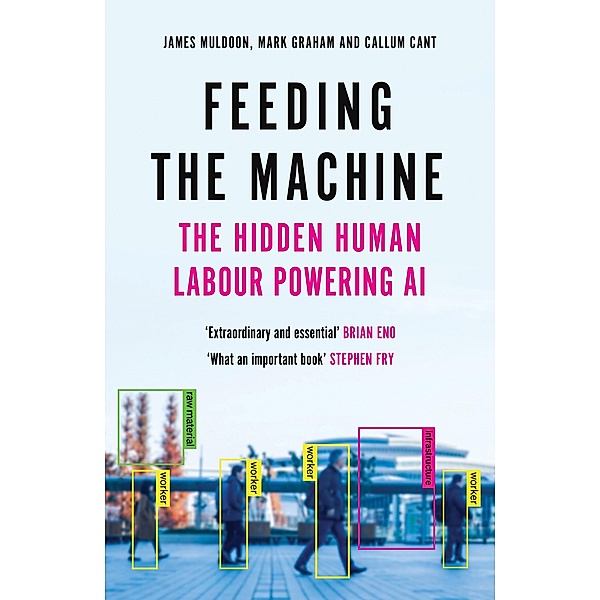 Feeding the Machine, James Muldoon, Mark Graham, Callum Cant
