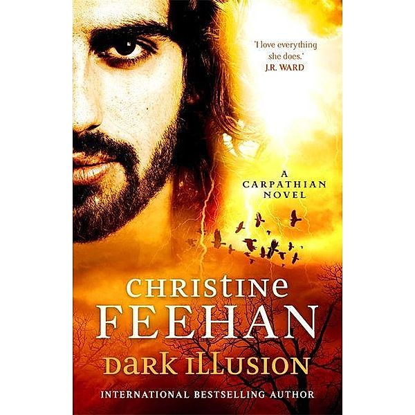 Feehan, C: Dark Illusion, Christine Feehan