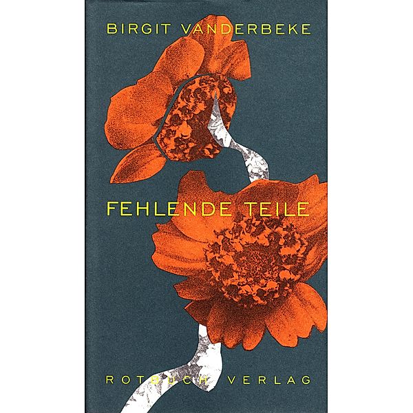 Fehlende Teile, Birgit Vanderbeke