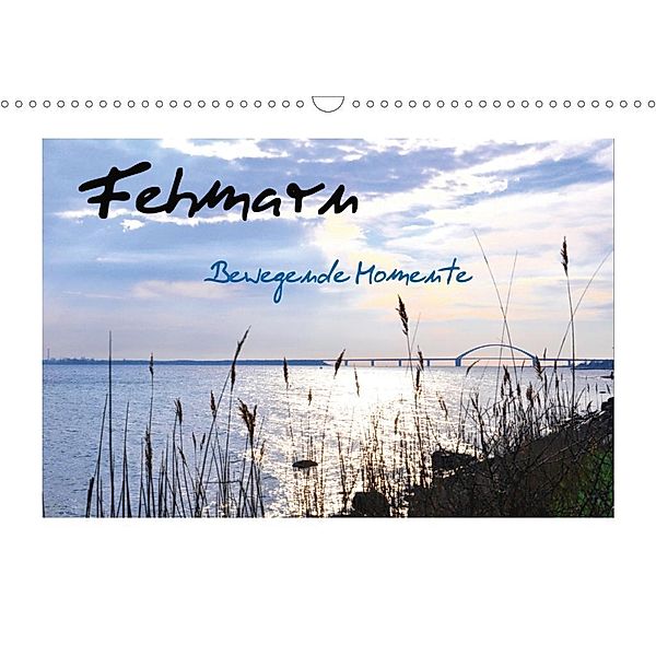 Fehmarn - Bewegende Momente (Wandkalender 2020 DIN A3 quer), Petra Giesecke