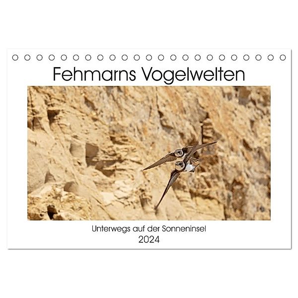 Fehmarn Vogelwelten (Tischkalender 2024 DIN A5 quer), CALVENDO Monatskalender, Holger Ströder