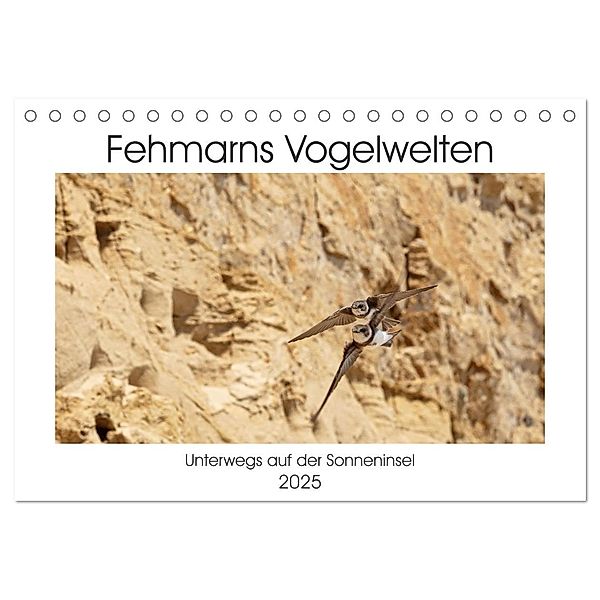 Fehmarn Vogelwelten (Tischkalender 2025 DIN A5 quer), CALVENDO Monatskalender, Calvendo, Holger Ströder