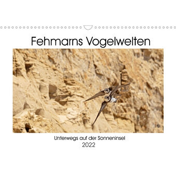 Fehmarn Vogelwelten (Wandkalender 2022 DIN A3 quer), Holger Ströder