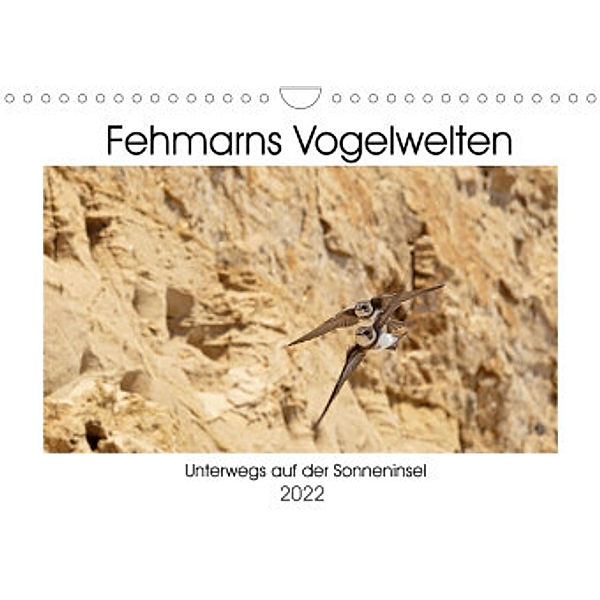 Fehmarn Vogelwelten (Wandkalender 2022 DIN A4 quer), Holger Ströder