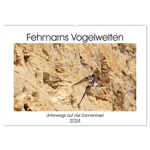 Fehmarn Vogelwelten (Wandkalender 2024 DIN A2 quer), CALVENDO Monatskalender, Holger Ströder