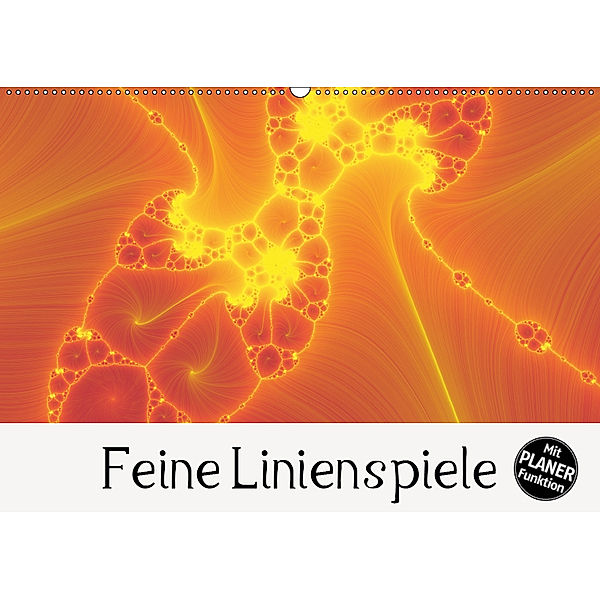 Feine Linienspiele (Wandkalender 2019 DIN A2 quer), Heidemarie Sattler