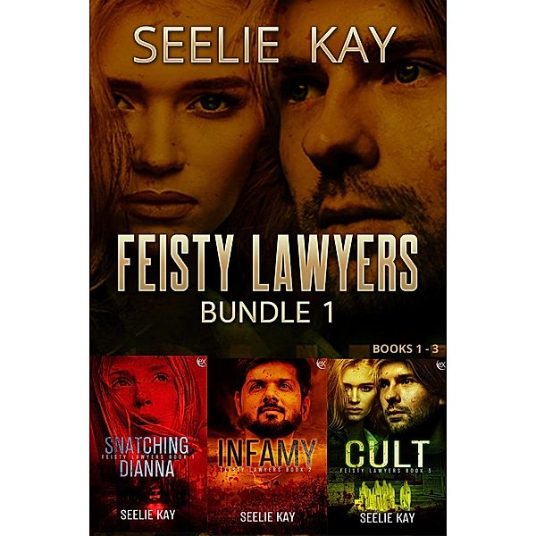 Feisty Lawyers Bundle / Feisty Lawyers, Seelie Kay