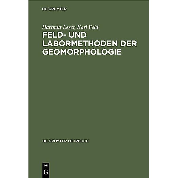 Feld- und Labormethoden der Geomorphologie / De Gruyter Lehrbuch, Hartmut Leser, Karl Feld
