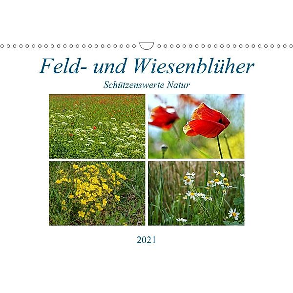 Feld- und Wiesenblüher Schützenswerte Natur (Wandkalender 2021 DIN A3 quer), Martina Marten