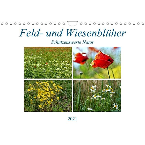 Feld- und Wiesenblüher Schützenswerte Natur (Wandkalender 2021 DIN A4 quer), Martina Marten