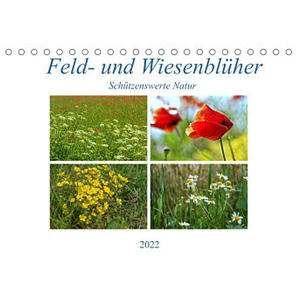 Feld- und Wiesenblüher Schützenswerte Natur (Tischkalender 2022 DIN A5 quer), Martina Marten