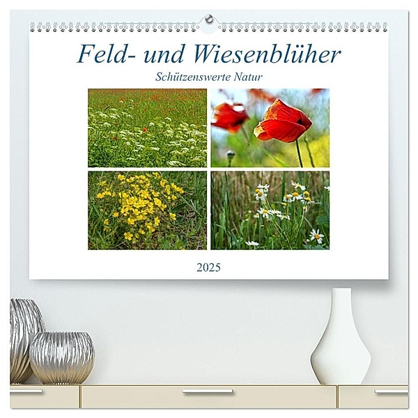 Feld- und Wiesenblüher Schützenswerte Natur (hochwertiger Premium Wandkalender 2025 DIN A2 quer), Kunstdruck in Hochglanz, Calvendo, Martina Marten