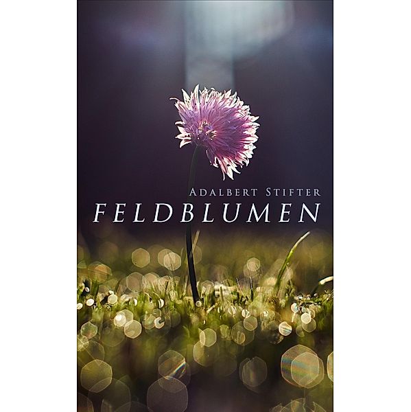 Feldblumen, Adalbert Stifter