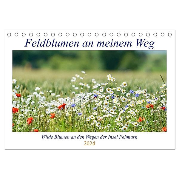 Feldblumen an meinem Weg (Tischkalender 2024 DIN A5 quer), CALVENDO Monatskalender, Ida Kaminski