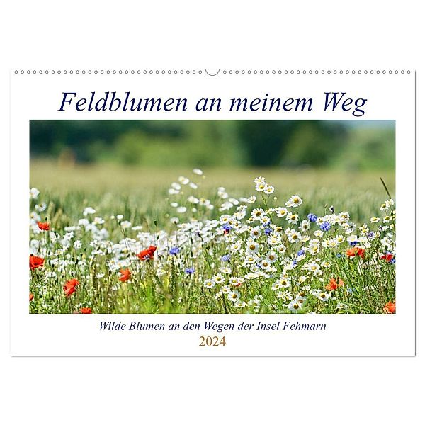 Feldblumen an meinem Weg (Wandkalender 2024 DIN A2 quer), CALVENDO Monatskalender, Ida Kaminski