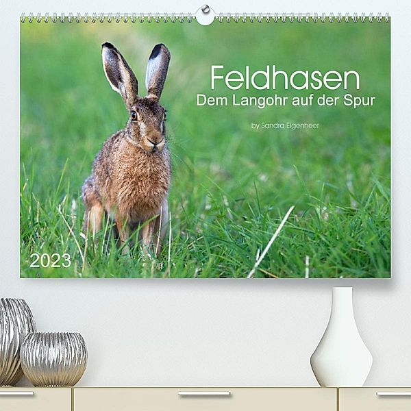Feldhasen - dem Langohr auf der Spur (Premium, hochwertiger DIN A2 Wandkalender 2023, Kunstdruck in Hochglanz), Sandra Eigenheer