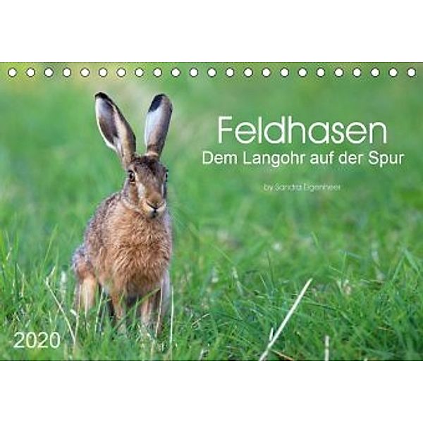 Feldhasen - dem Langohr auf der Spur (Tischkalender 2020 DIN A5 quer), Sandra Eigenheer