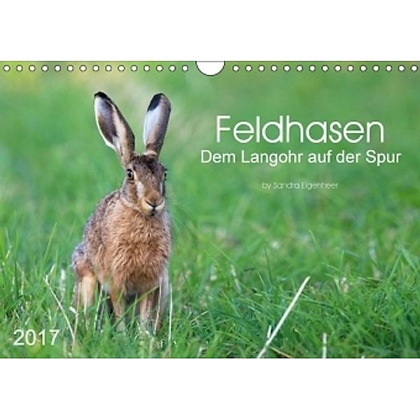 Feldhasen - dem Langohr auf der Spur (Wandkalender 2017 DIN A4 quer), Sandra Eigenheer