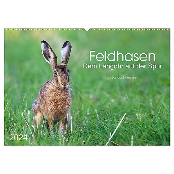 Feldhasen - dem Langohr auf der Spur (Wandkalender 2024 DIN A2 quer), CALVENDO Monatskalender, Sandra Eigenheer