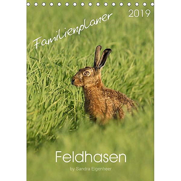Feldhasen - Familienplaner (Tischkalender 2019 DIN A5 hoch), Sandra Eigenheer