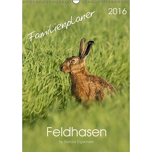 Feldhasen - Familienplaner (Wandkalender 2016 DIN A3 hoch), Sandra Eigenheer